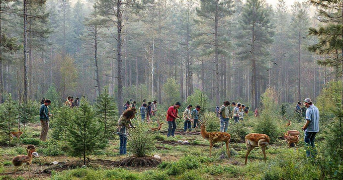 Planos de Manejo: Estratégias para Conservação e Sustentabilidade