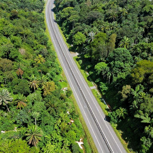 Avaliação de Impacto Ambiental em Rodovias: Essencial para a Sustentabilidade e o Futuro