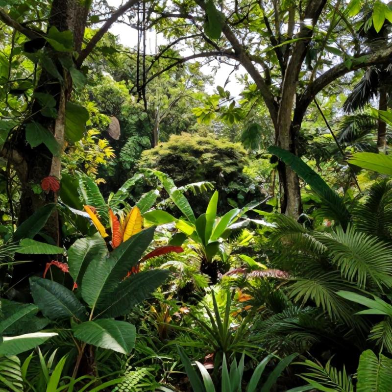 Consultoria Ambiental Pernambuco: Transforme Seu Negócio Verde