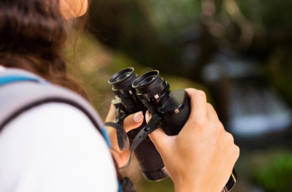 Monitoramento de Fauna e Flora: Importância e Métodos Eficazes para a Conservação Monitoramento de Fauna e Flora: Importância e Métodos Eficazes para a Conservação