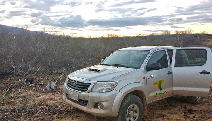 Relatório Ambiental Simplificado (RAS)